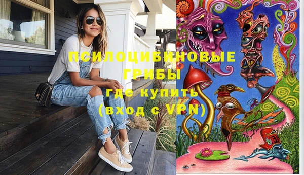 spice Дмитров