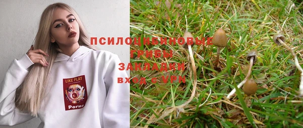 эйфоретик Дмитровск