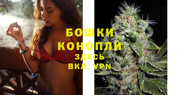 spice Дмитров