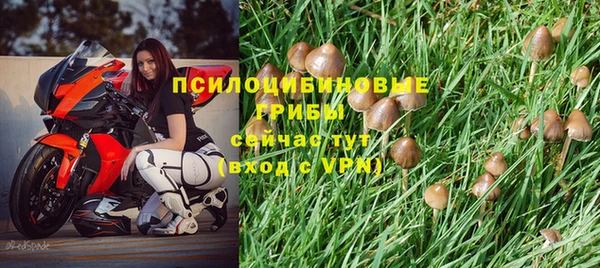 spice Дмитров