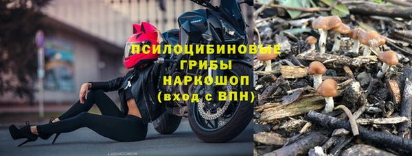 соль курить ск Дмитриев