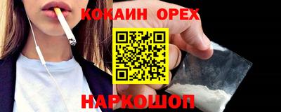 дмт Гатчина