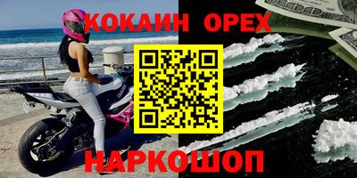 дмт Гатчина