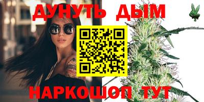 дмт Гатчина