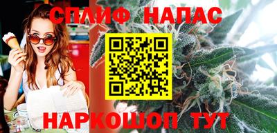 дмт Гатчина
