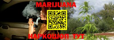 дмт Гатчина