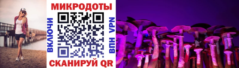 kraken как зайти  Еманжелинск  Псилоцибиновые грибы мухоморы 