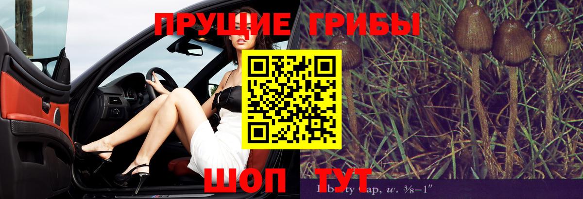 Галлюциногенные грибы Psilocybe Еманжелинск