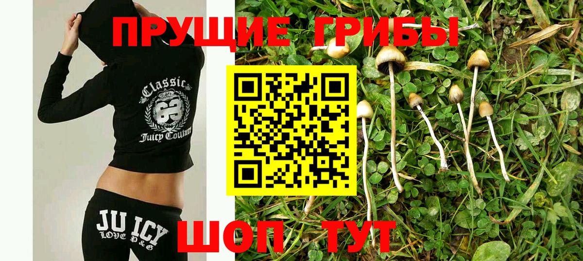 Галлюциногенные грибы ЛСД  Галлюциногенные грибы Psilocybe  купить наркоту  Еманжелинск 
